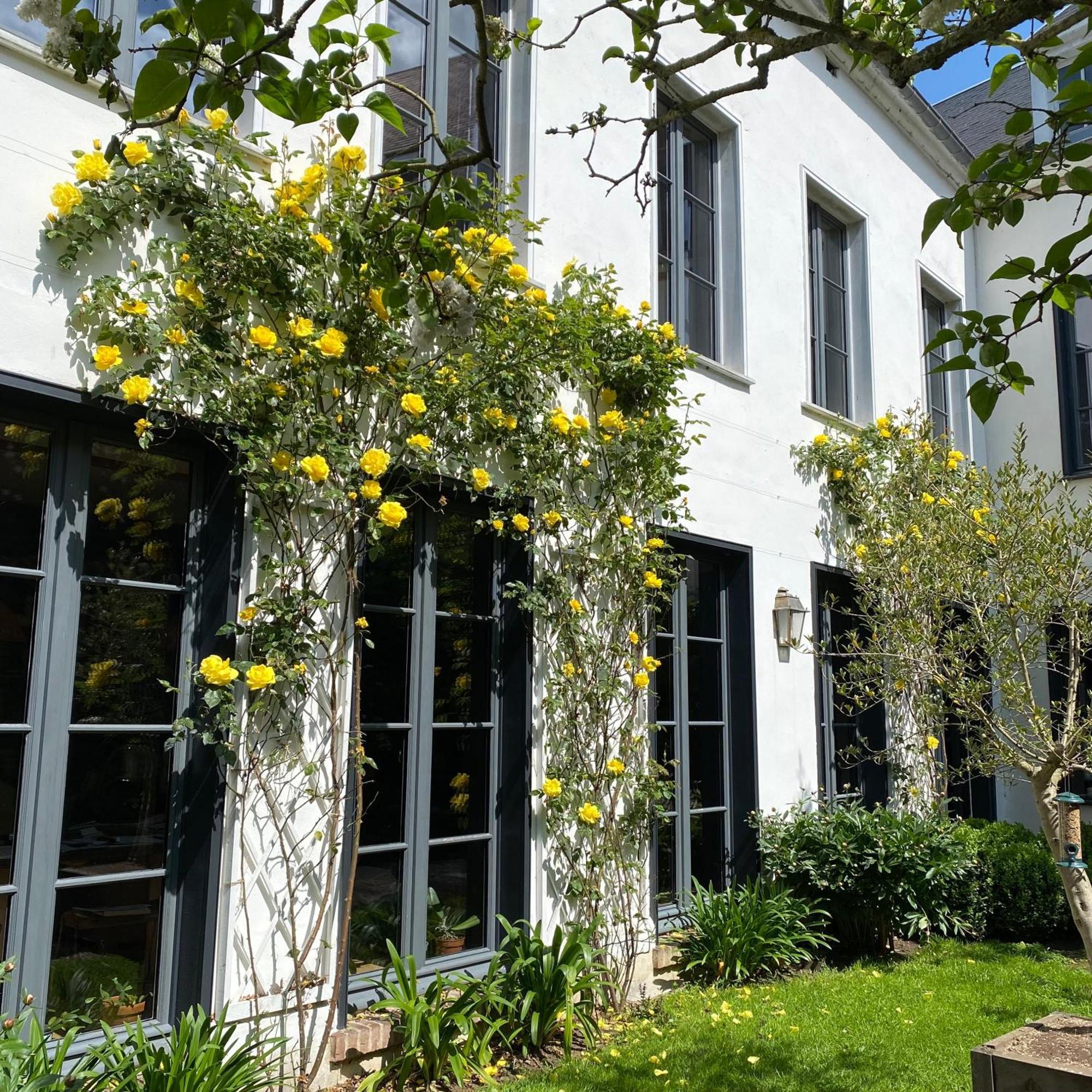 Bed and Breakfast Cote Baie Saint-Valéry-sur-Somme Exterior foto